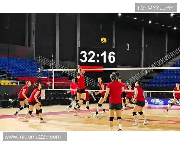 上海排球队的拼搏之路与挑战赛背后的奋斗故事 上海排球队的拼搏之路与挑战赛背后的奋斗故事