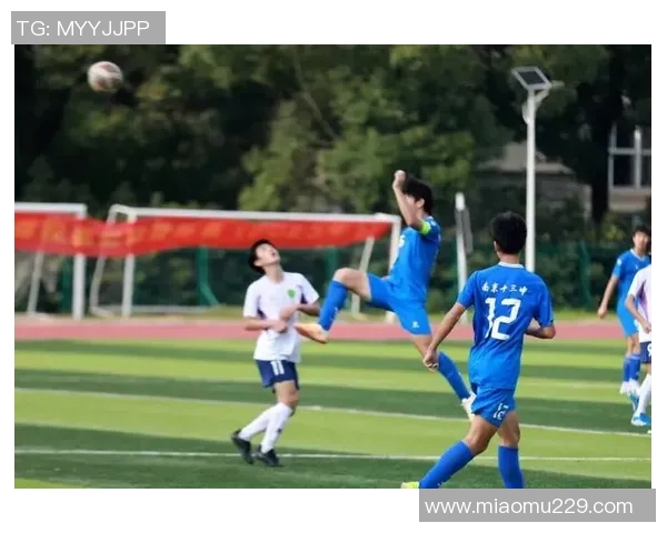 南京足球队在挑战赛中的战术表现分析与评估