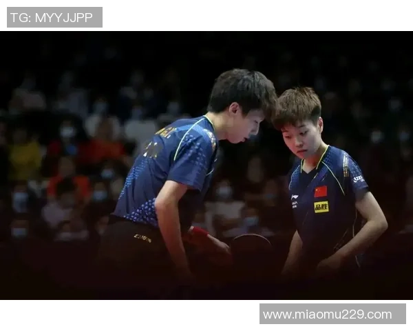 深圳篮球队默契配合的秘密探讨与战术分析