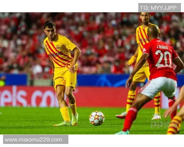 武汉网球队以76分领跑精英赛积分榜展现强劲实力