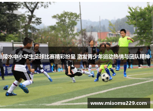 陵水中小学生足球比赛精彩纷呈 激发青少年运动热情与团队精神