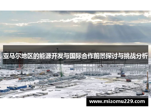 亚马尔地区的能源开发与国际合作前景探讨与挑战分析
